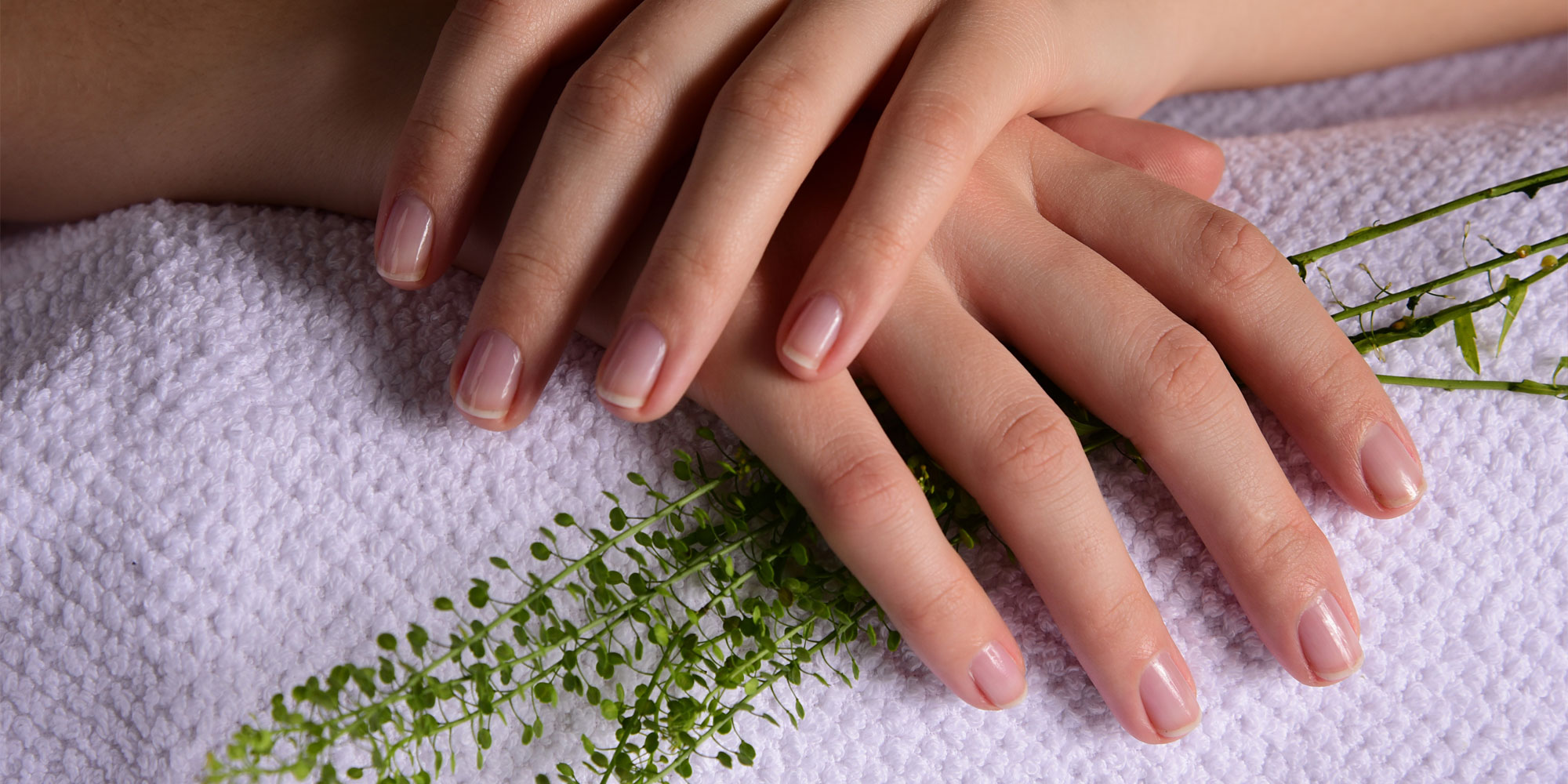 Kosmetik in Wolfenbüttel - Beauty Friends